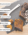 Radiant Skin- Chaga & Tremella