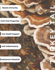 Immunity & Defense- Turkey Tail