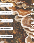 Immunity & Defense-  Turkey Tail