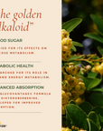 Glucose Regulator- Berberine Advanced