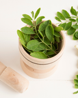 Energy Booster - Miracle Moringa