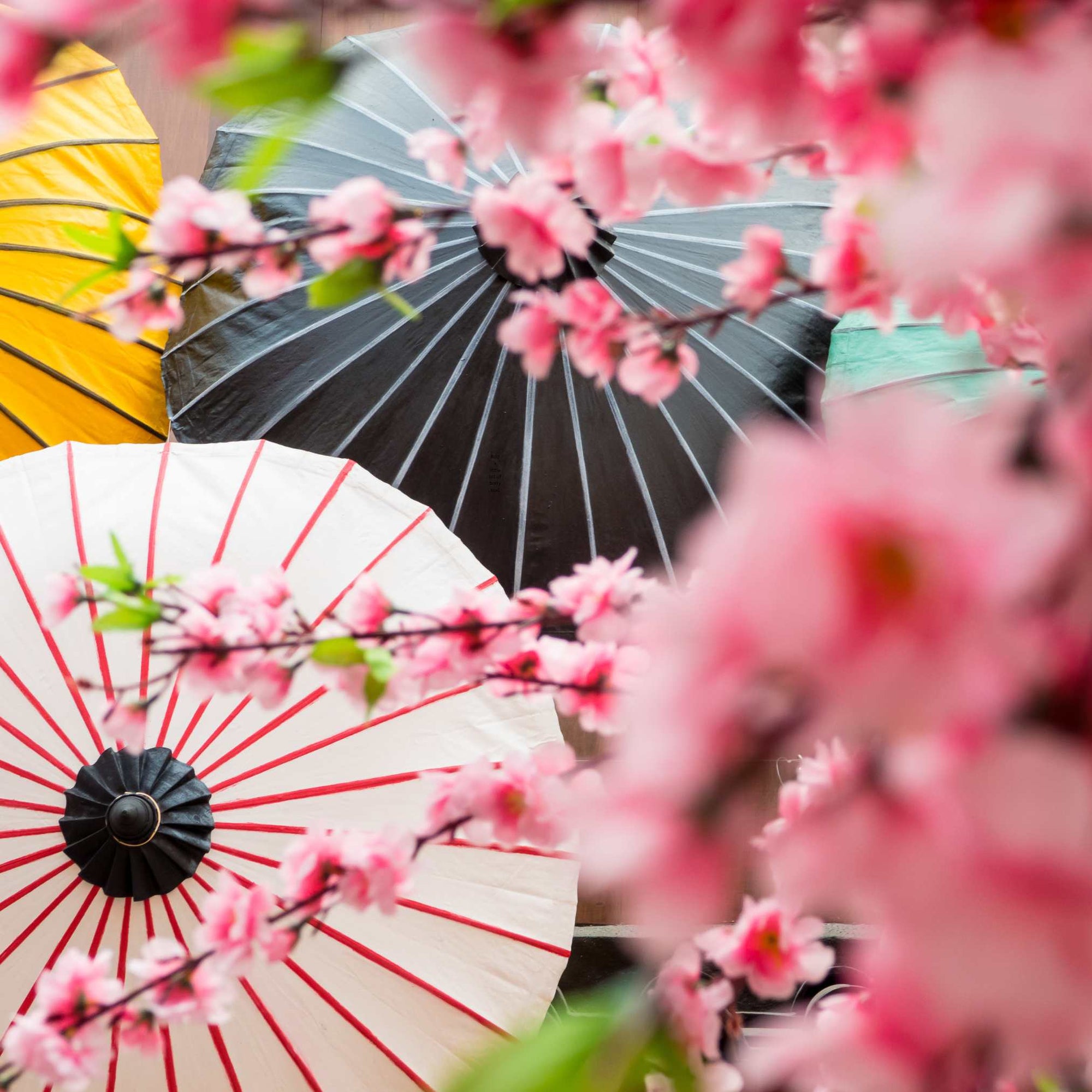 Master These 6 Japanese Strategies and Never Be Lazy Again
