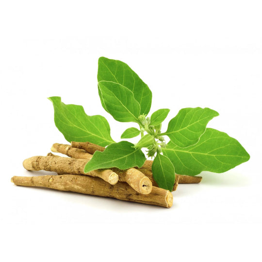 4. Ashwagandha