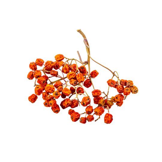 8. Berberine