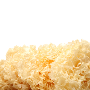 Rejuvenation- Tremella