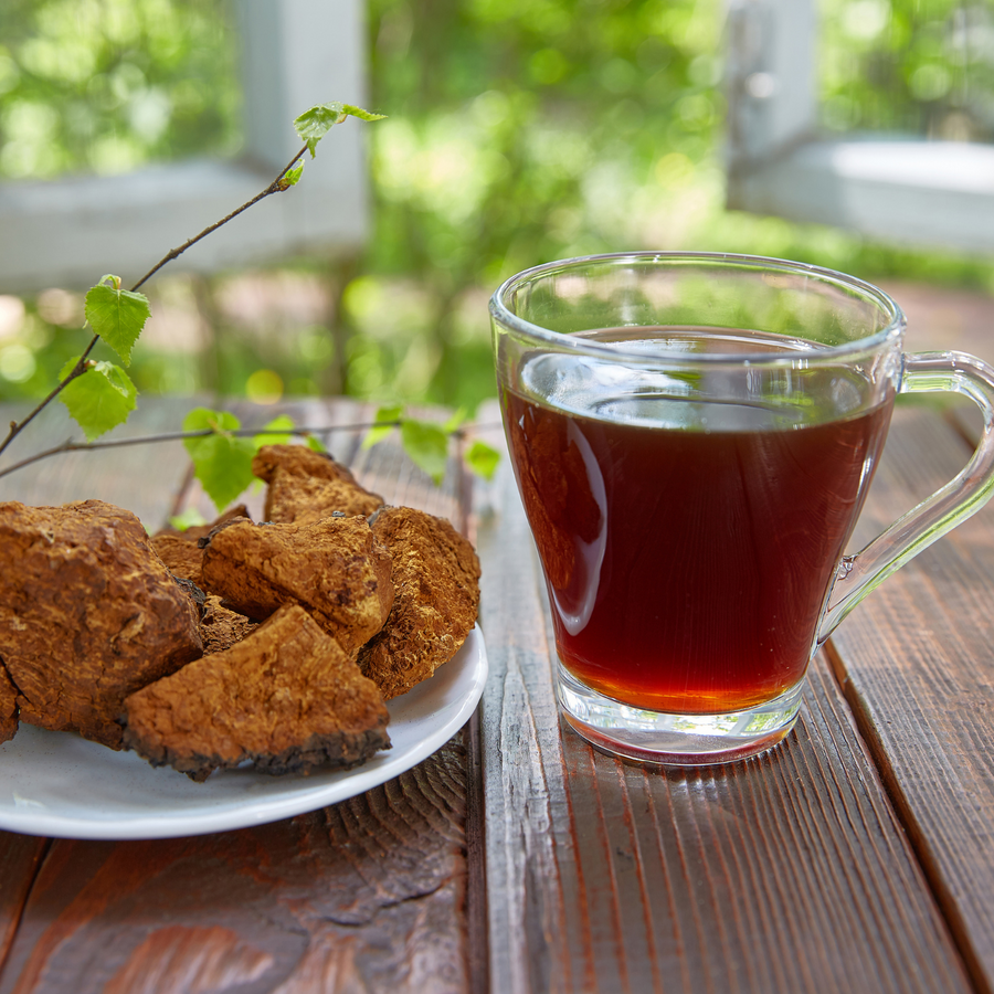 Digestive and Immune Support - Chaga