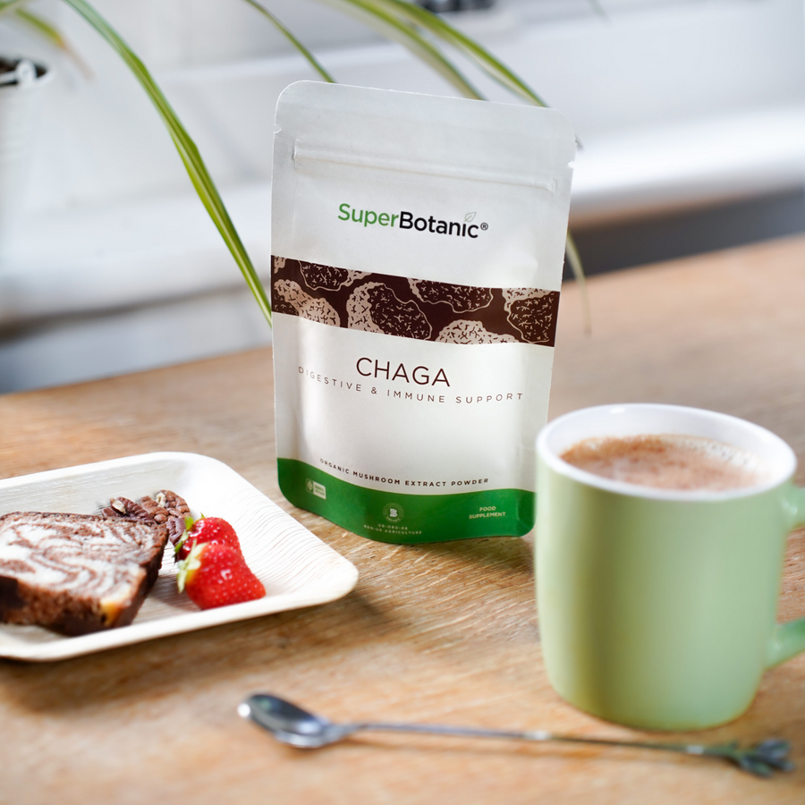 Digestive and Immune Support - Chaga