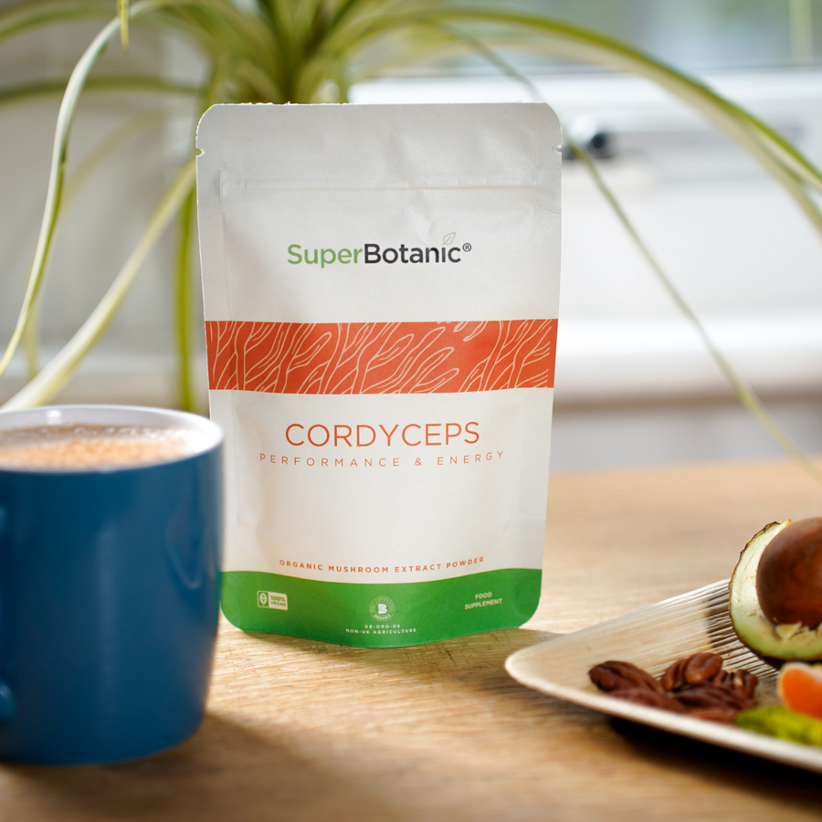 Performance & Energy - Cordycerps