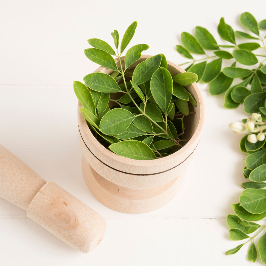 Energy Booster - Miracle Moringa